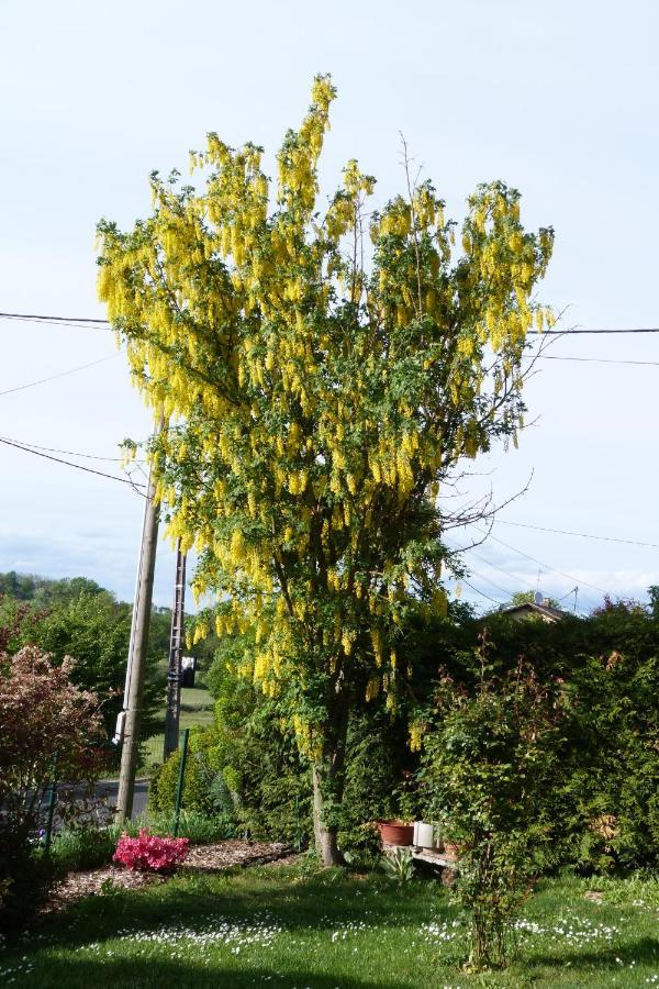 Gite D'Maisala Les Mesanges Heidwiller Exterior foto